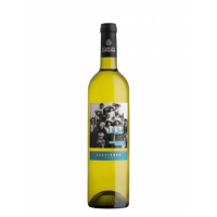 1964 Sauvignon Blanc sausais baltvīns 12% Francija 0,75L(1/6)