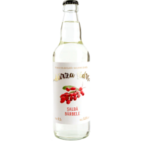 DĀRZA SIDRS Saldā bārbele ābolu sidrs 5,5% pudele 0,5L (1/20) DEP+