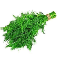 DILLES fasētas Uzbekistāna 30g (1/5)