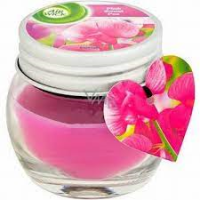 WELLNESS aromātiskās tējas sveces 3-4h 6gb Polija (1/15)